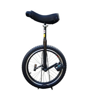 Unicycle Haolong Student Balance Car Adult Acrobatics Amusement Aluminum Rim Thick Tire Children's Double-Layer Sports Equipment Metal