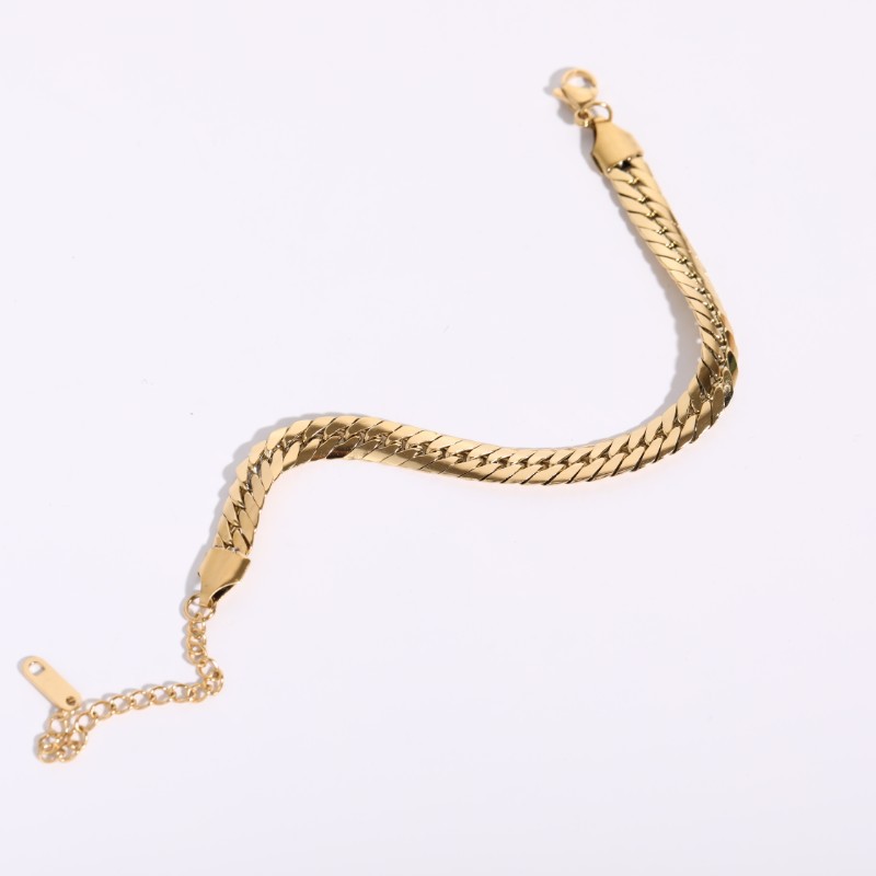 Fashion Geometric Titanium Steel Necklace Flat Snake Chain Necklace display picture 5