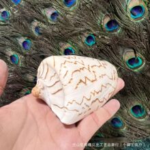 ��ɽˮ�� �L����  ���к��bҾӔ[���~��ˮ���쾰�[���ֹ�DIY