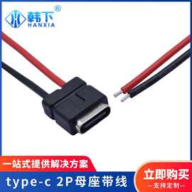 厂家批发type-c2Pin母座6级防水焊线式注塑线长可定Z带防水圈USB