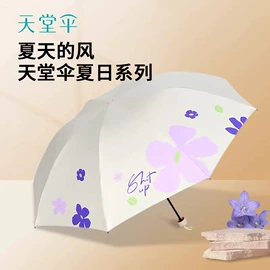 晴雨伞;遮阳/太阳伞;雨伞