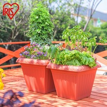 爱丽丝花盆爱丽思塑料树脂盆加厚耐用大号家用方形特价清仓包邮