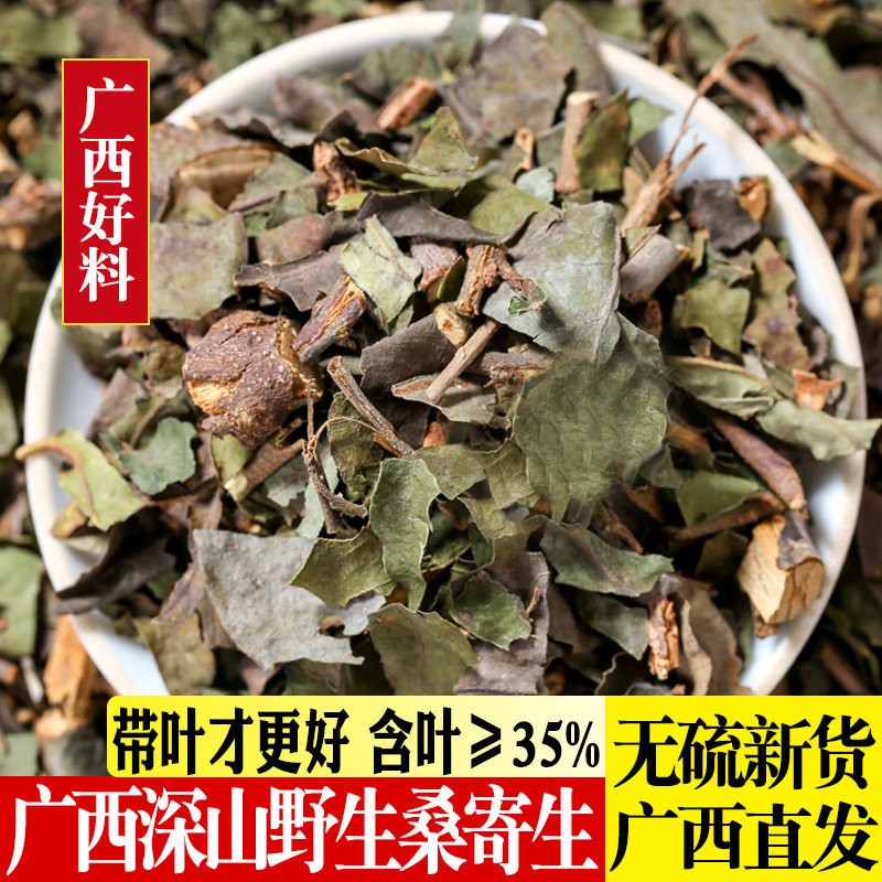 野生桑寄生中药材广西深山正品新货桑寄生茶500克另售独活槲寄生
