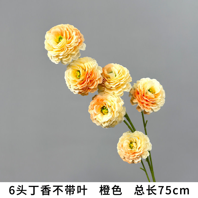 6头丁香不带叶