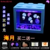 Haiyue buy two and get one free + blue tank + two lanterns + two packs of sea salt + food + dropper + feeding card