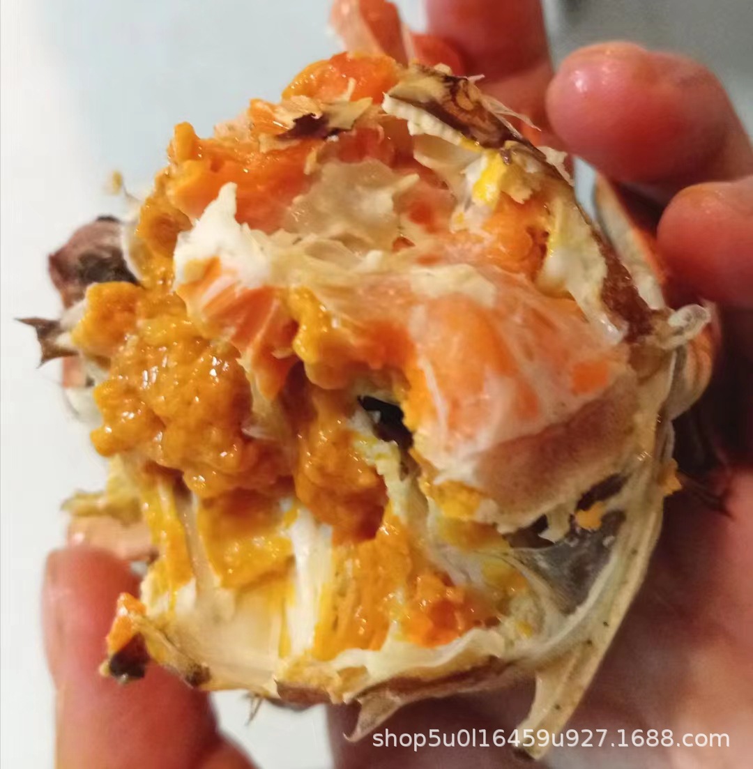 微信图片_20230907111354_2