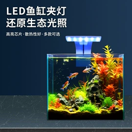 水族照明设备