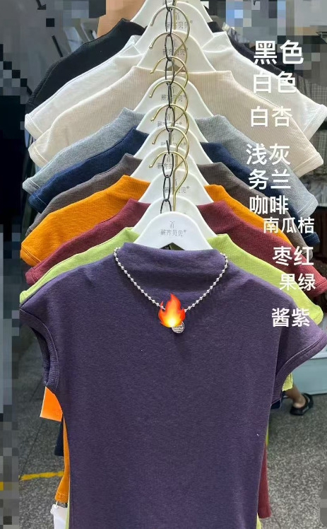 2025半高领短袖T恤女时尚纯色韩版显瘦早秋打底衫内搭女上衣夏|undefined