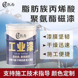 厂家现货脂肪族丙烯酸聚氨酯面漆金属钢结构机床双组份室外油漆厂