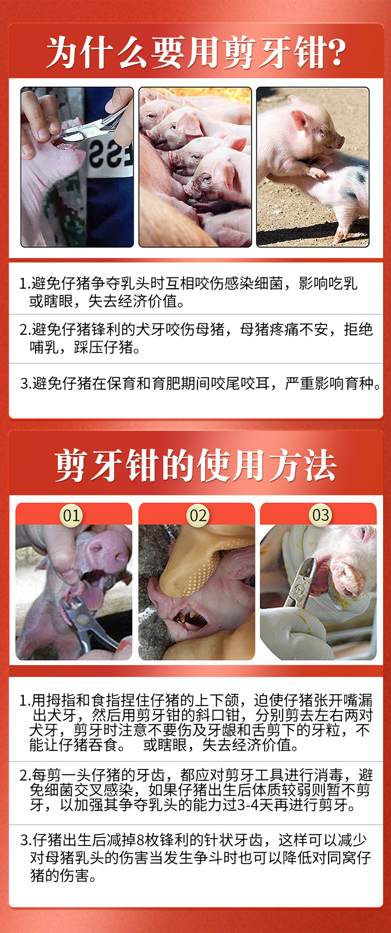 剪牙钳说用说明