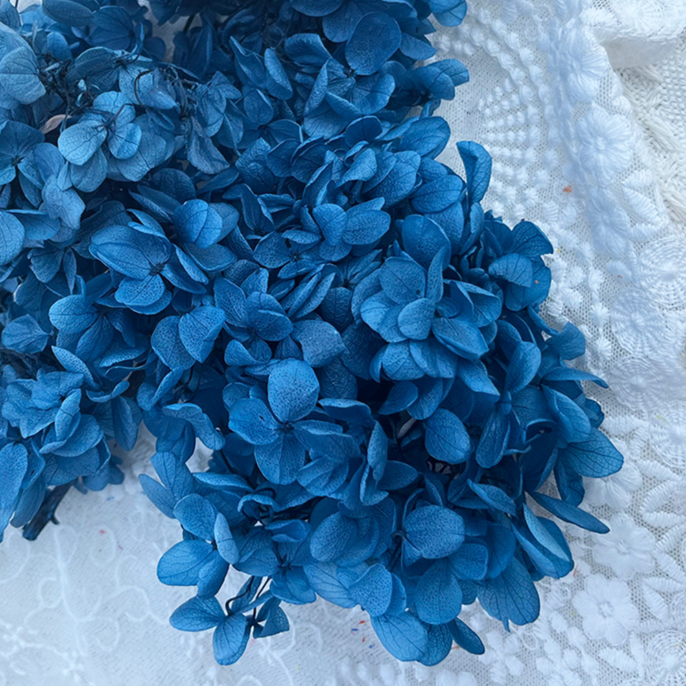 Hortensia (Azul-Gris) - 20g/Caja