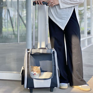 Large Cat Outing Trolley Case, Cat School Bag, Pet Bag, Dog Backpack, Two Cats, Large Capacity Pet Trolley Case