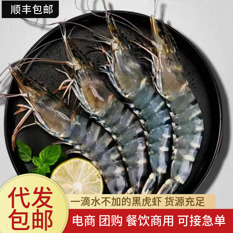 黑虎虾鲜活超大虾鲜活速冻九节虾海鲜水产深海捕捞新鲜特大老虎虾