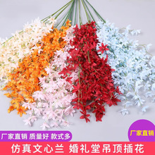 �����m���滨��c�����m��Y�����b�·���Ҿ��b��[���ٻ�����