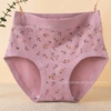 Taro purple
