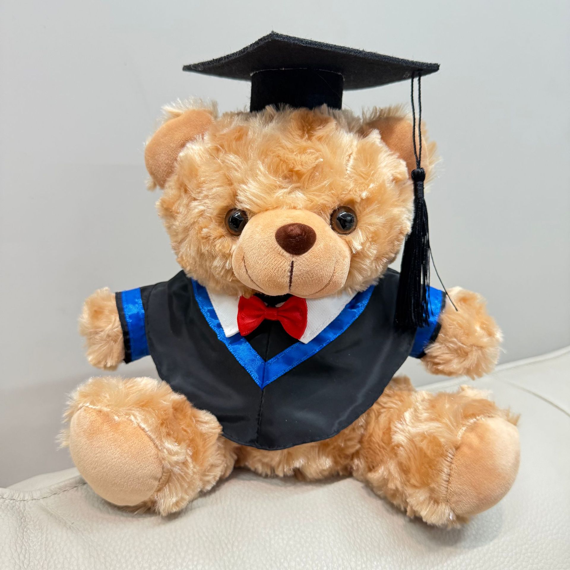 Doctorado de graduación Teddy Teddy