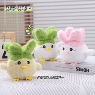 �ɐ����B�l��ż������B���ë�q������B����Z������耳׿�