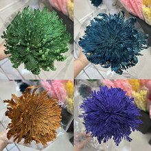 ��������ʹ�ĳ��廨�b��ɰػ����������l�ӼҲ廨