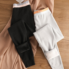 男士保暖打底棉裤时尚舒适纯色透气紧身衬裤加绒加厚内搭青年秋裤