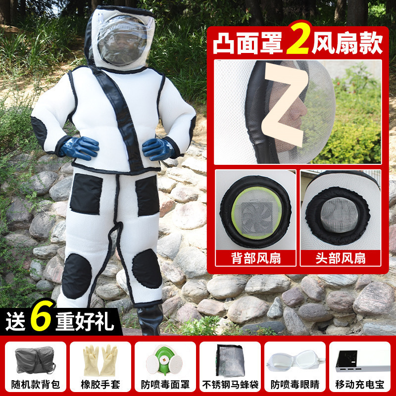 저예산 : [쌍봉볼록마스크] 6선물-S사이즈 145~150(신발사이즈 40)