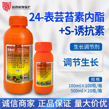 ����������ɫ 24��̦ܿ������&middot;S�տ���  ��������ˮ���������ڼ�