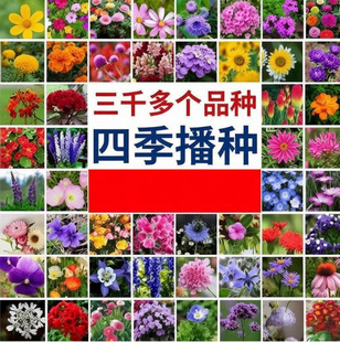 �羳����С���b60��N���N���ļ�ͨ�ü�ͥ�@ˇ���؛Դ�S�����l