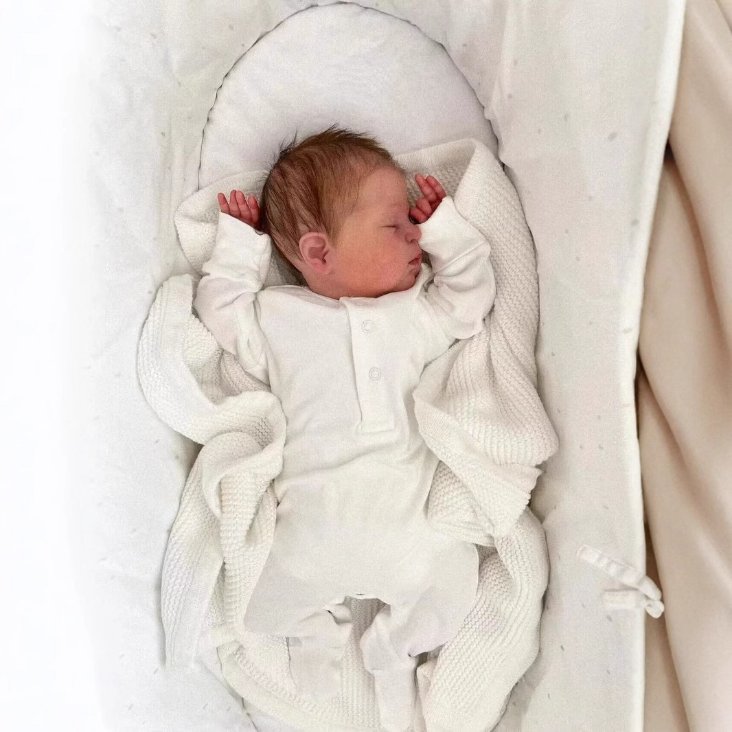 Muñeca realista NPK de 49 cm, bebé recién nacido Demi, suministro de comercio electrónico transfronterizo, dropshipping de Amazon