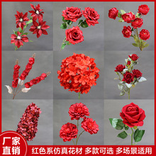 ��c�tɫ����10֧�b���~�ӽ����Y���b�·���廨������ˇ