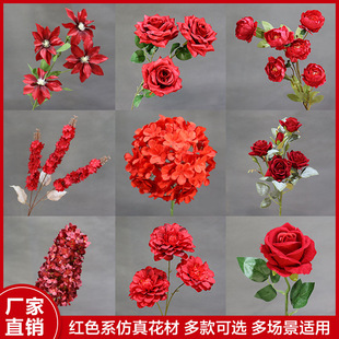��c�tɫ����10֧�b���~�ӽ����Y���b�·���廨������ˇ