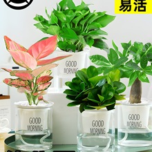 Gֲ׃@СˮͺBļNֲGjֲ҃Ȼk