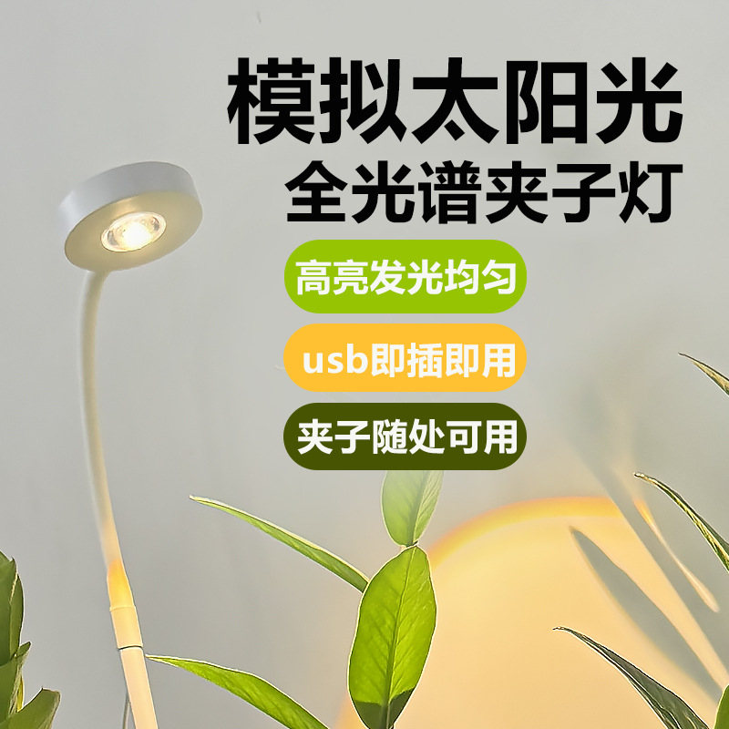 创意LED植物生长灯全光谱多肉花卉植物补光灯USB小夜灯太阳光斑灯