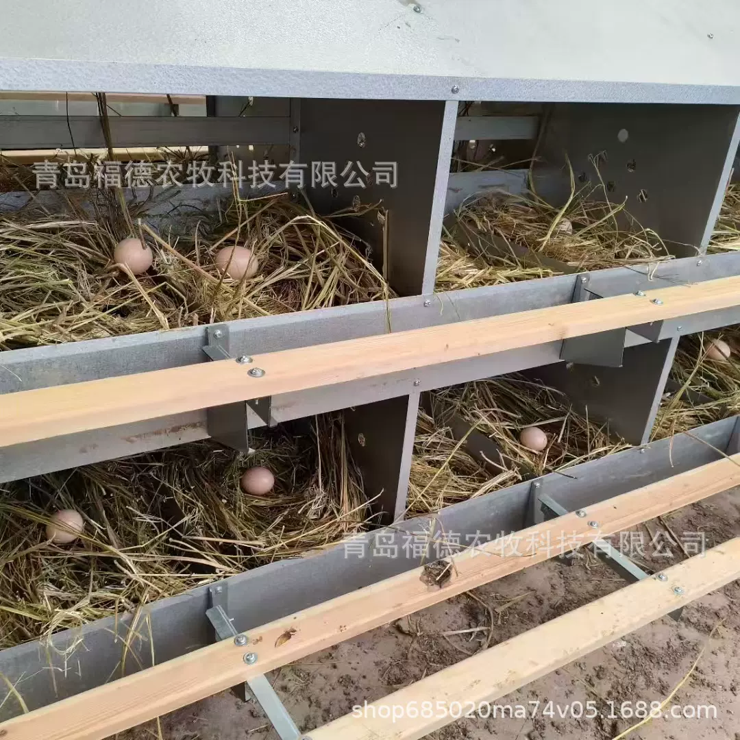 鸡用产蛋箱生产厂家 青岛福德农牧热镀锌蛋箱 24穴母鸡产蛋窝