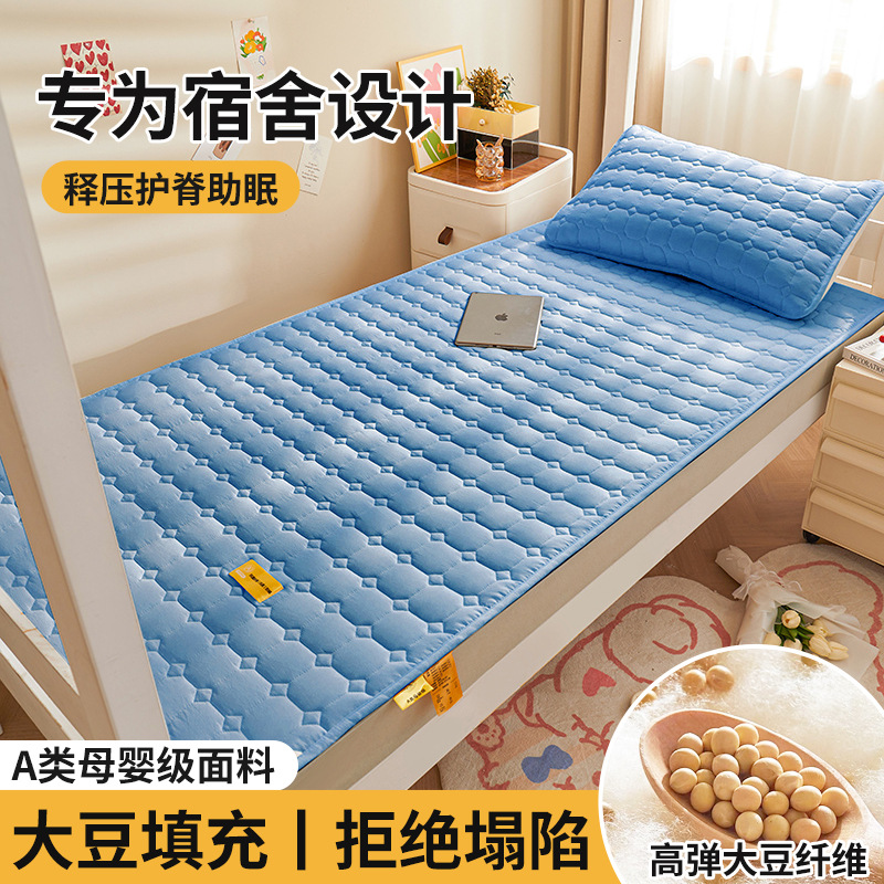 Colchón de soja, cojín, dormitorio de estudiantes en casa, cojín individual, cojín, piso especial para alquiler, cojín para dormir, fondo de cama