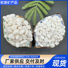 厂家批发白色石子景观石园林建筑公园装饰鱼缸盆栽造景用鹅卵石