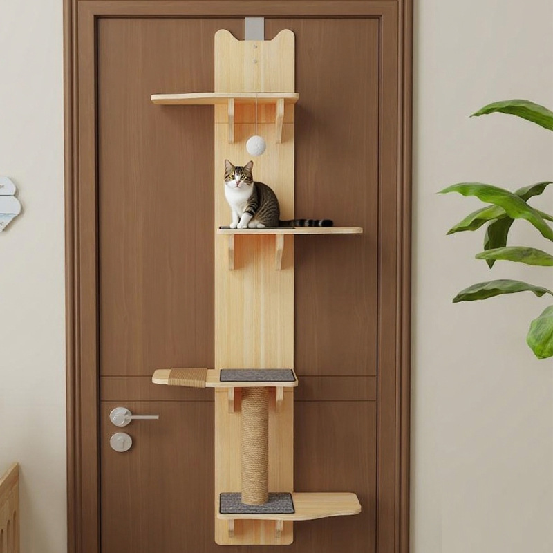 Кошачий комплекс с круглым дизайном