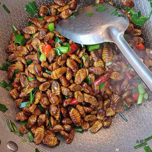 �QӼɽ�|�r�����r���ɣ�QӼ���QӼ���QӼ�OӼ���sӼС�QӼ�a