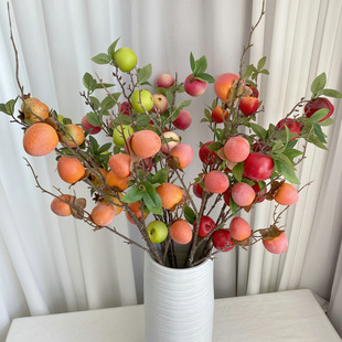 ?������ӝ{�� �Ҿ��b[��ֲ�������֦ ��ĭ������Ә�֦