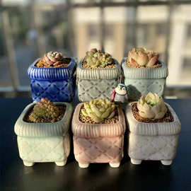 多肉印章花盆浮雕小饼干陶瓷群生创意个性冰裂手工刻印肉植花盆