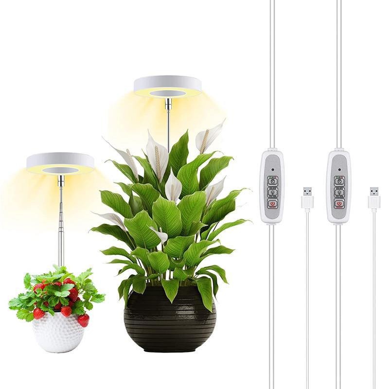 5V de bajo voltaje temporización de atenuación doméstica lámpara interior de flores carnosas ángel anillo de luz de planta de espectro completo lámpara de crecimiento