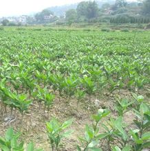 ���Ϲ������ֱ�N���������l���Ә��� ���S�۽��� ��ϵ�ýӹ�����