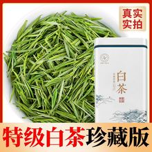 白茶2023新茶特一级茶叶礼盒装高山绿茶特级珍稀嫩芽白茶