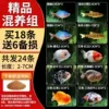[Mixed Breeding Group] Buy 18 and get 6 spares