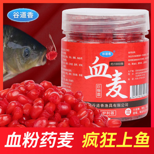 �ȵ�������Ѫ���~�D�ļ����úڿ�Ұ���~�a�~���~���~�Dʳ�D��