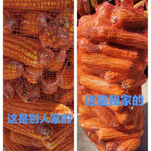 玉米土豆红薯活禽水果西瓜大蒜辣椒新款专用网眼袋加密玉米专用袋