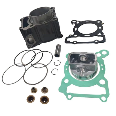 Rs4 Tuono 125 Gpr124 – Cylinder and parts