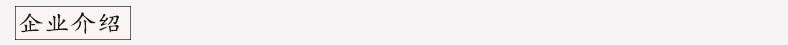 企业介绍