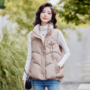 Foreign-style Fashion All-match Down Cotton Vest Women's Short Vertical Collar New Cotton Vest Student's Outer Wearing Cotton Waistcoat Vest