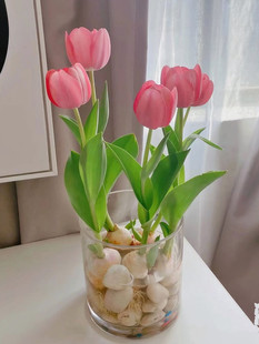 5�w������N��ˮ�����b����ƿ�ͺ��������ļ��Nֲ�L�������Ի���