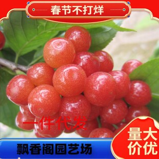 ������� �R������� ����Ҙ��� �޽ә����� ܇���Ә����ϱ����N