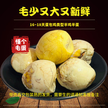 16��18��ë�����u�뵰ϲ���������ß��������Ӽ�ʳë�u������ȫ��